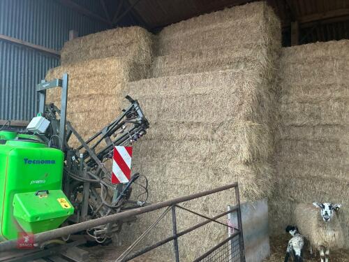 50 SQUARE BALES OF 2025 HAY - BIDS PER BALE