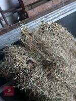 25 CONVENTIONAL BALES OF JUNE 2025 HAY - BIDS FOR THE GROUP - 3