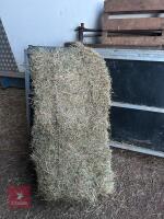 25 CONVENTIONAL BALES OF JUNE 2025 HAY - BIDS FOR THE GROUP - 4
