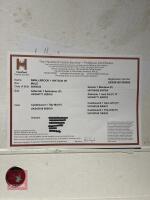 4YO PEDIGREE HEREFORD BULL - 2