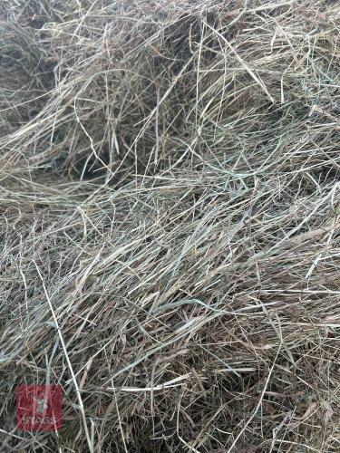26 ROUND BALES OF 2025 MEADOW HAY - BIDS PER BALE