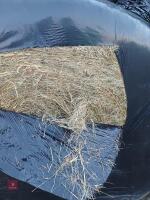 50 ROUND BALES OF 2025 HAYLAGE - BIDS PER BALE - 3