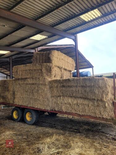 10 X 6 STRING BALES OF 2024 HAY - BIDS PER BALE