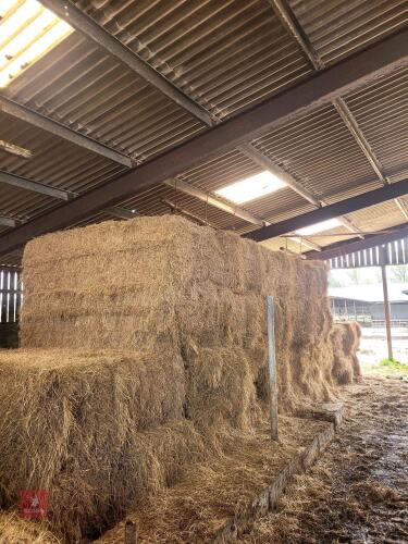25 X 4 STRING BALES OF 2024 HAY - BIDS PER BALE