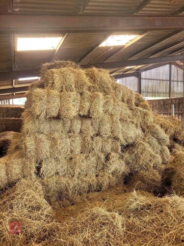 60 CONVENTIONAL BALES OF 2025 HAY - BIDS FOR THE GROUP
