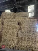 10 SQUARE BALES OF 2025 BARLEY STRAW - BIDS PER BALE - 2