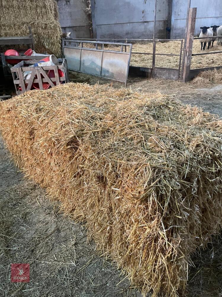 10 SQUARE BALES OF 2025 BARLEY STRAW - BIDS PER BALE