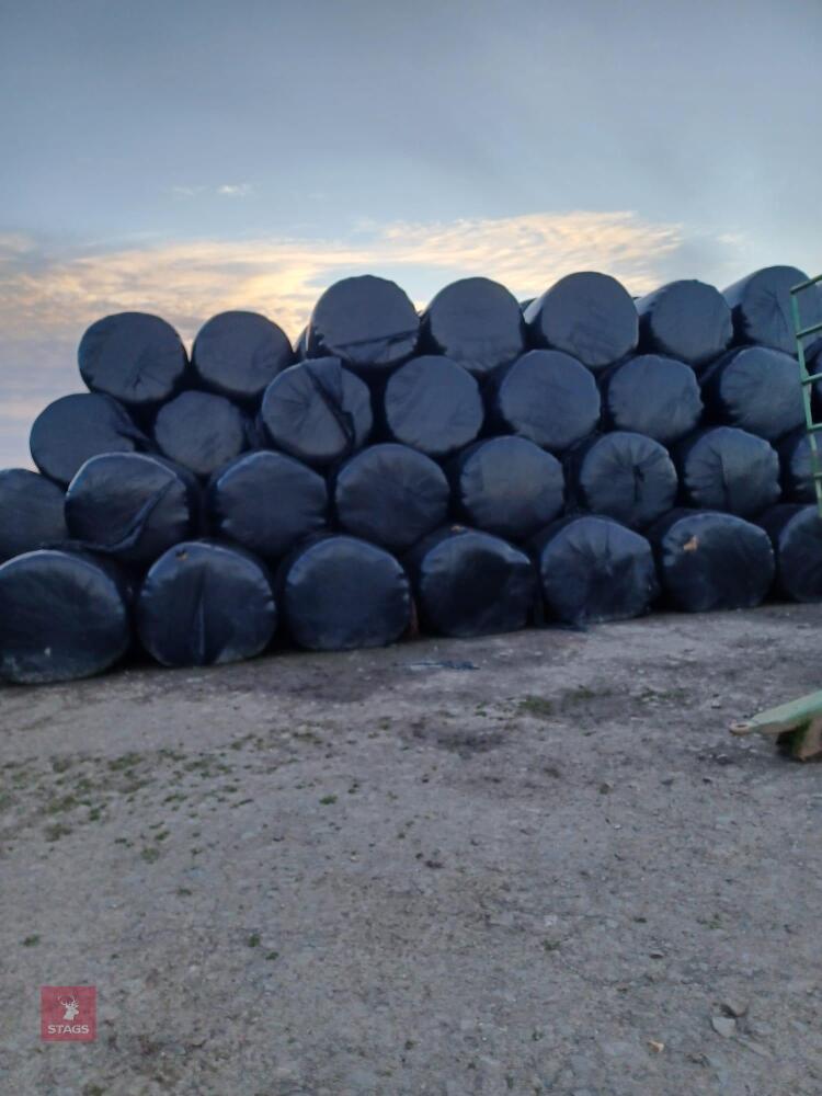 50 ROUND BALES OF 2025 HAYLAGE - BIDS PER BALE