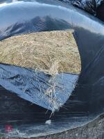 50 ROUND BALES OF 2025 HAYLAGE - BIDS PER BALE - 4