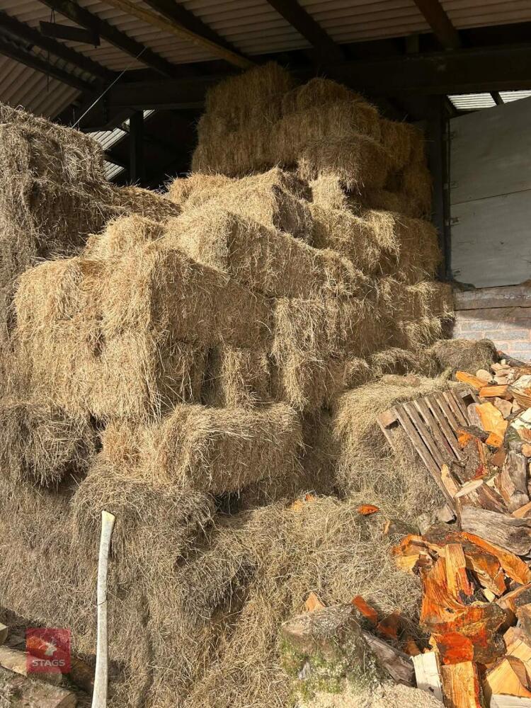 50 CONVENTIONAL BALES OF HAY - BIDS FOR THE GROUP