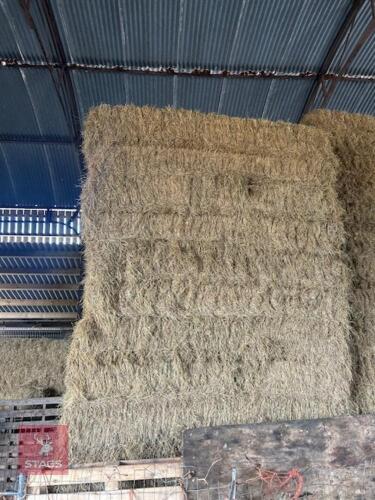 20 X 4 STRING BALES OF 2025 HAY - BIDS PER BALE
