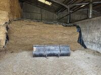 80 TON OF 2025 MAIZE CLAMP SILAGE - BIDS PER TON