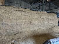 80 TON OF 2025 MAIZE CLAMP SILAGE - BIDS PER TON - 2