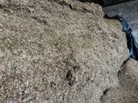 80 TON OF 2025 MAIZE CLAMP SILAGE - BIDS PER TON - 3