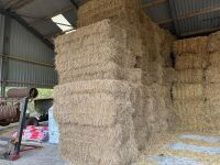30 X 4 STRING BALES OF 2025 HAY - BIDS PER BALE