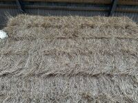 30 X 4 STRING BALES OF 2025 HAY - BIDS PER BALE - 5