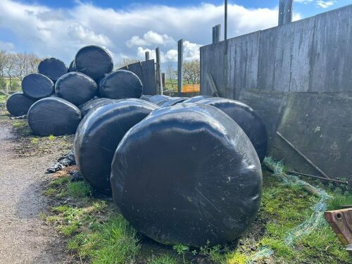 40 ROUND BALES OF 2024 SILAGE/HAYLAGE - BIDS PER BALE