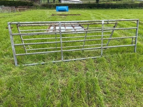 12' GALVANISED GATE