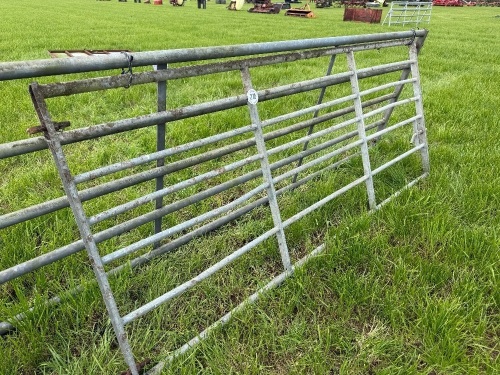 8' 9'' GALVANISED GATE
