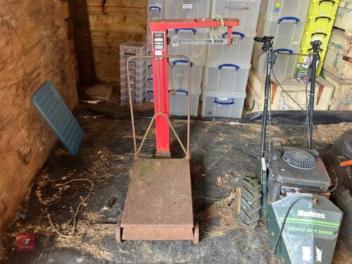 AVERY 250KG WEIGH SCALES (15)