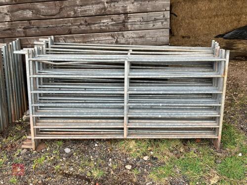 15 X 6' GALVANISED SHEEP HURDLES (7)