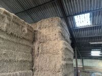 20 X 6 STRING BALES OF 2025 HAY - BIDS PER BALE - 2
