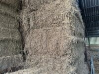 20 X 6 STRING BALES OF 2025 HAY - BIDS PER BALE - 3