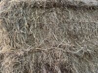 20 X 6 STRING BALES OF 2025 HAY - BIDS PER BALE - 4