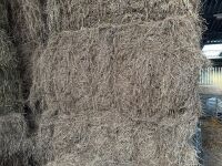 20 X 6 STRING BALES OF 2025 HAY - BIDS PER BALE - 5