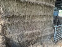 20 X 6 STRING BALES OF 2025 HAY - BIDS PER BALE - 7