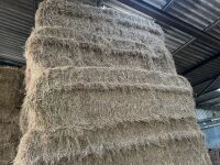 20 X 6 STRING BALES OF 2025 HAY - BIDS PER BALE - 8