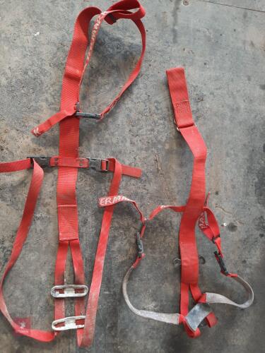 2 SHEEP PROLAPSE HARNESSES