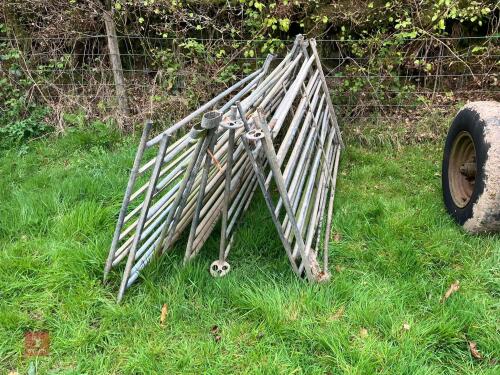 10 GALVANISED 6' SHEEP HURDLES
