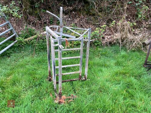 SHEEP RACE SHEDDING GATE