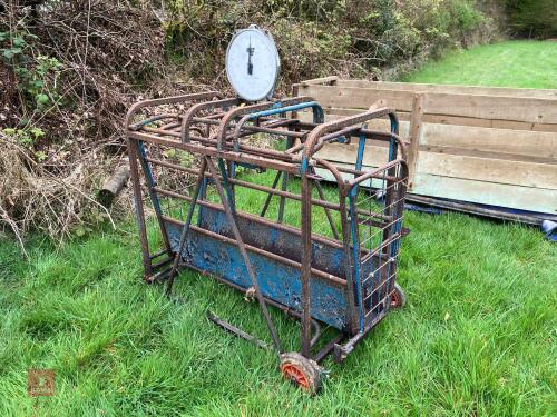SHEEP WEIGH SCALES