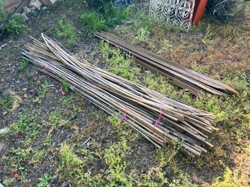 SELECTION OF BEAN CANES