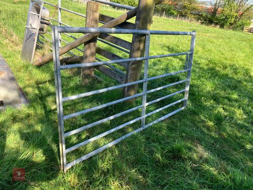 IAE 7' GALVANISED GATE (22)