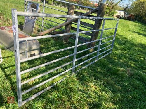 IAE 11' GALVANISED GATE (18)