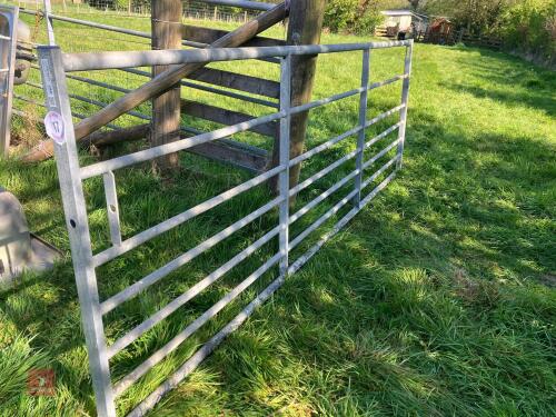 IAE 11' GALVANISED GATE (17)