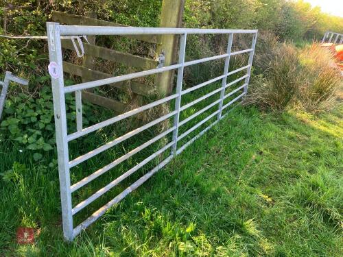 IAE 12' GALVANISED GATE (16)