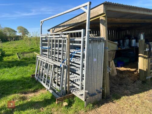 IAE CATTLE HANDLING SYSTEM (9)