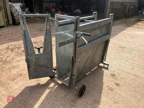GALVANISED DEHORNING CRATE