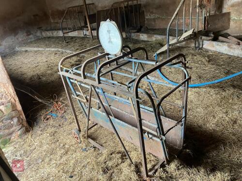 LAMB WEIGHING CRATE