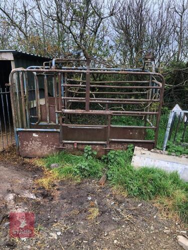 CATTLE CRUSH