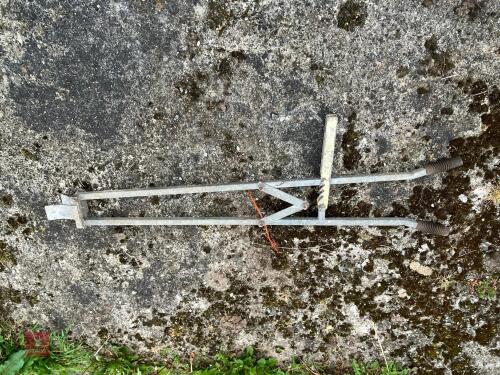 CALF DISBUDDING CLAMP