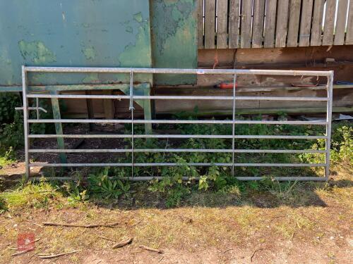 10' GALVANISED FIELD GATE (40)