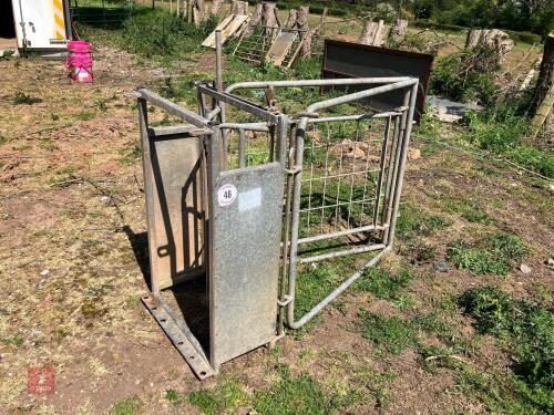 GALVANISED SHEDDING & RACE GATE (46)
