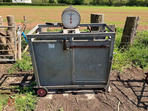 POLDENVALE WEIGH CRATE (31)