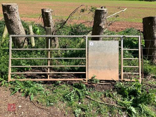 8' GALVANISED GATE (29)