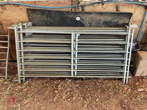 12 X 6' GALVANISED SHEEP HURDLES (21)